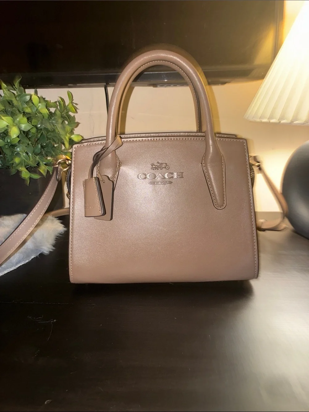 Coach Andrea Carryall Bag